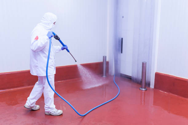 Pre-Holiday Cleaning in El Cajon, CA